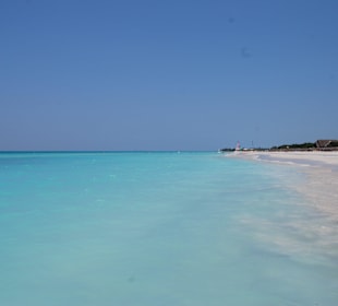 Super Wasserqualität