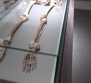 Museum Römer und Bajuwaren