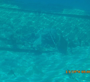 Schnorcheln Hurghada