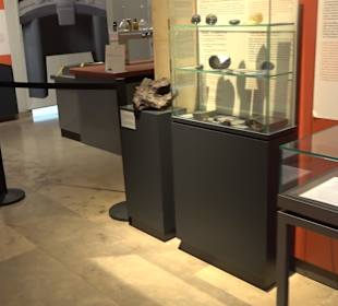 Staatliches Naturkunde Museum