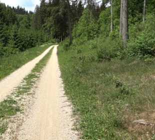 Tiefental Aichstetten