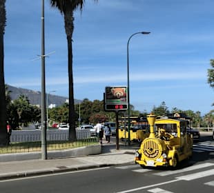 Loro Park