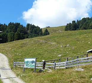 Hier geht es weiter hoch