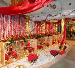 Weihnachtssterne