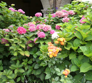 Entspannung im Kreuzgang von St. Maria im Kapitol