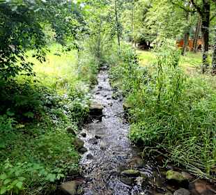 Spaziergang durch das Schönebecker Auetal
