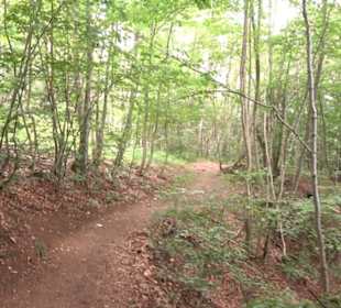 Hochgeträumt Premiumwanderung