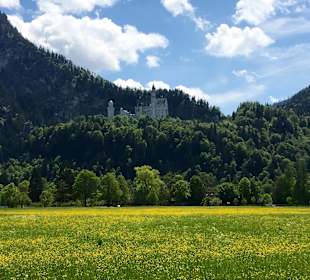 Märchenschloss Neuschwanstein