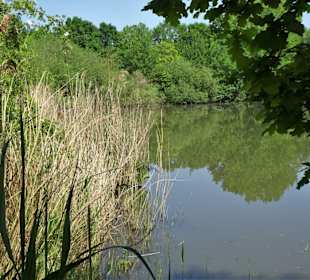 Eindrücke vom Rundgang am Krimpelsee
