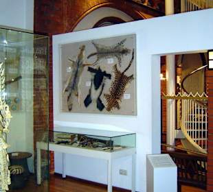 Zollmuseum