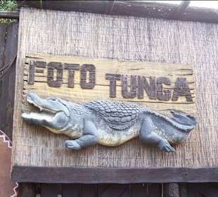 Tunga