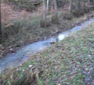 Wanderung rund um den Ochsenweiher