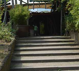 Jungle Cabana