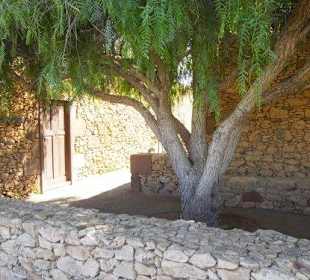 La Alcogida. Casa Sra. Herminia y Sr. Donato