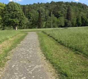 Kurpark Bad Niedernau