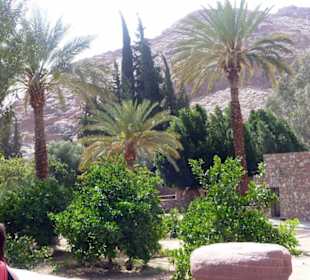 Kloster der sieben Nonnen