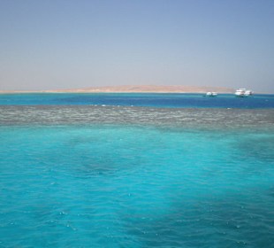 Korallenriff bei Giftun Insel