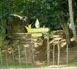 Nature Complete Tour 