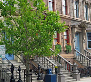 auch hier ist nicht alles echt...