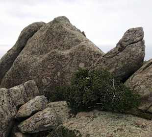 Auf dem Petrus Felsen