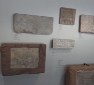 Rheinisches Landesmuseum