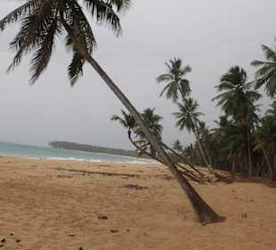Karibischer Strand bei schlechtem Wetter