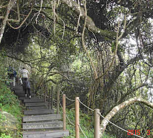 Tsitsikamma National Park