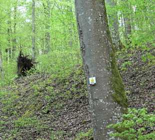 Wandertour durchs Reissenbachtal Oberhausen