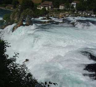 Am Rheinfall