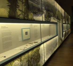 Niedersächsisches Landesmuseum