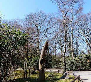 Schönes Wetter im Zoo Duisburg