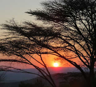 Sonnenaufgang in der Serengeti