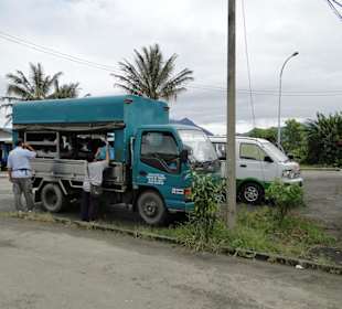 Ausflug Wildfife Expeditions- Rastplatz