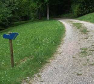 Fußballbilliard - Minigolf Hallwangen