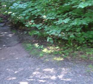 Heslacher Wasserfälle