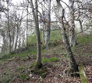 Wanderweg Hochgehswiggert