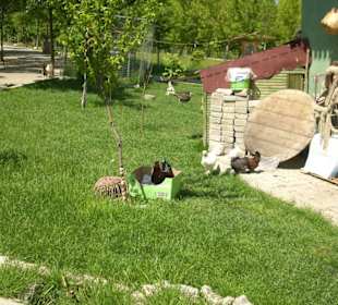 Isparta Gökçay Park