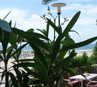 Blick vom Restaurant