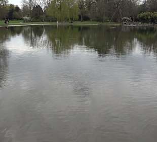 Schlossgarten Karlsruhe