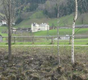  Waldmoserschloß (mit Cafe)