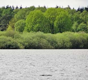Impressionen von der Thülsfelder Talsperre