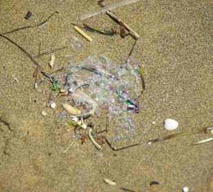 Strand von Bibione 06-2010