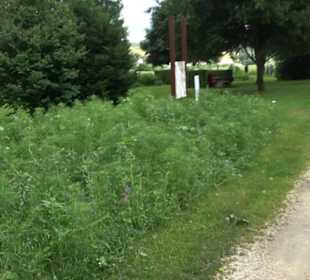 Blühendes Neresheim 2021