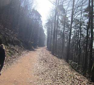 Weg zur Burg Neuscharfeneck