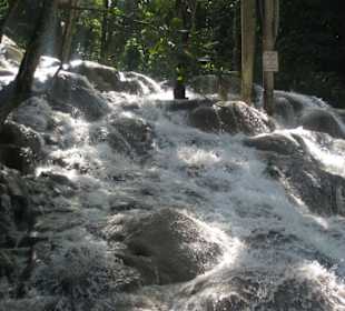 Dunn's River Falls