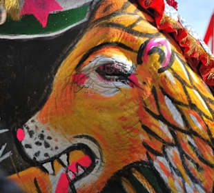 Elefant Festival in Jaipur