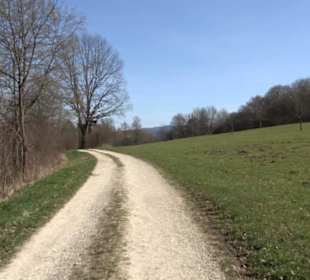 Premiumwanderweg "hochgeblickt"
