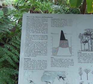 Tropicarium - Feuchte Tropen