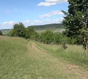 Naturschutzgebiet Hirschauer Berg
