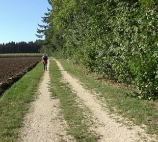 Kelten-Erlebnis-Pfad Erkenbrechtsweiler